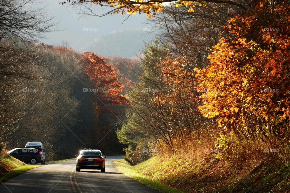 Autumn road * Carretera en el otoño