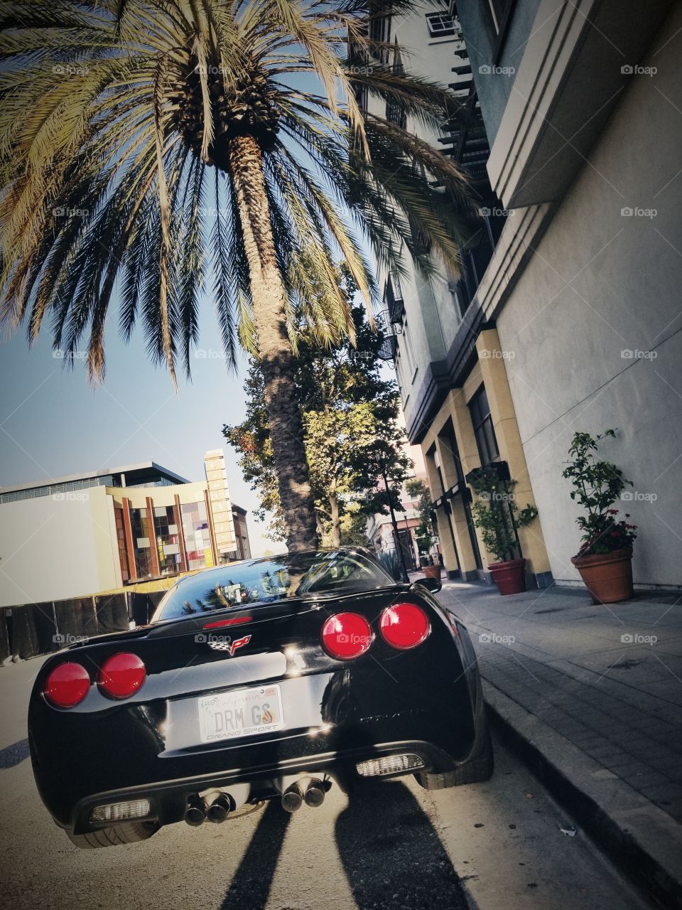 black corvette