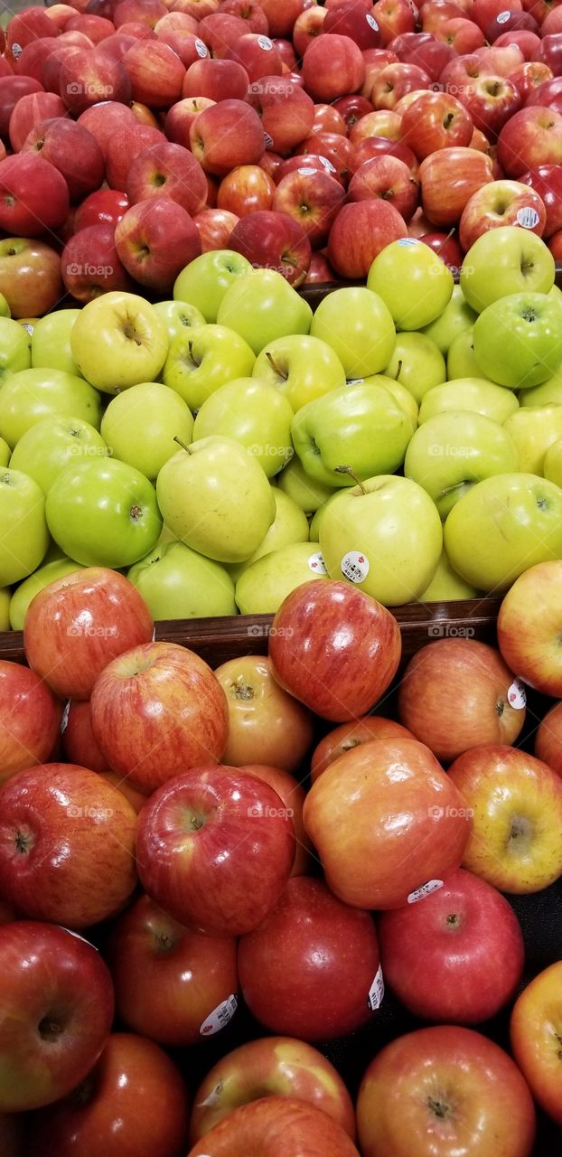 A lot of green Granny Smith and green Gala apples sitting separated in a Kroger grocery store.