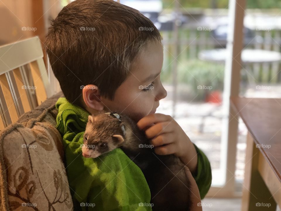 Study Buddy; Young Boy and his Ferret