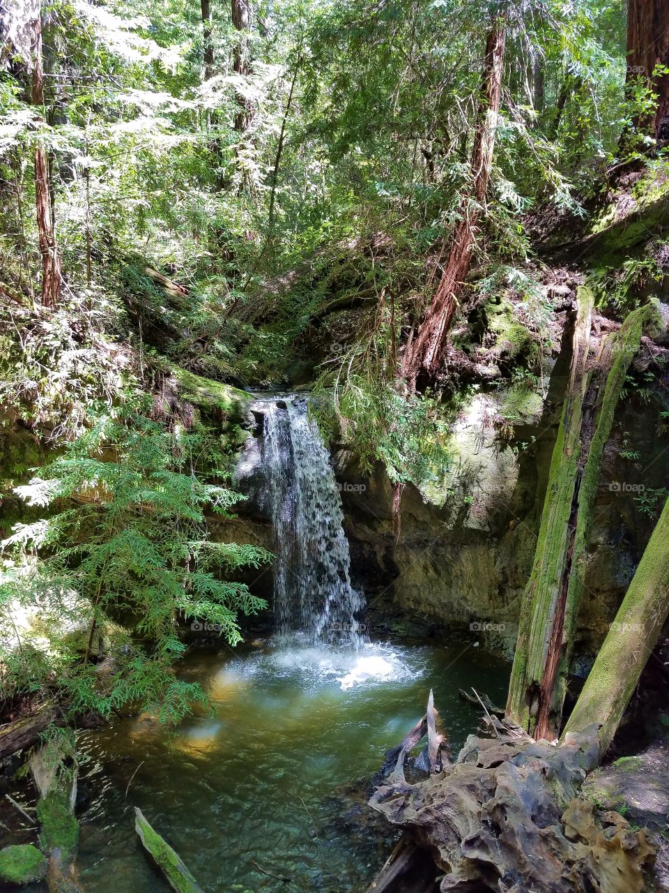 Santa Cruz mountains