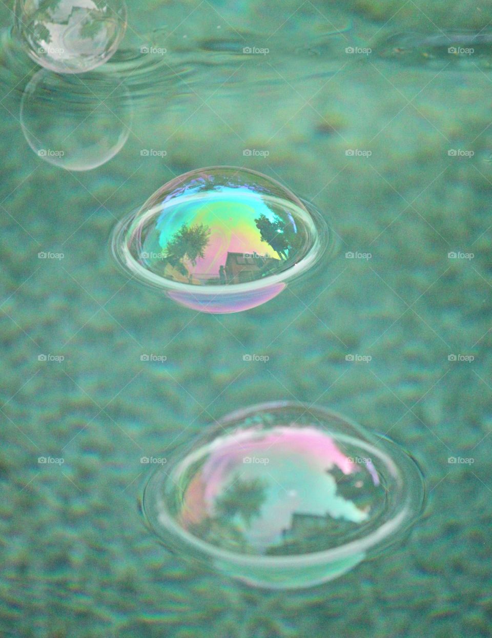 Close-up of bubbles floating on water