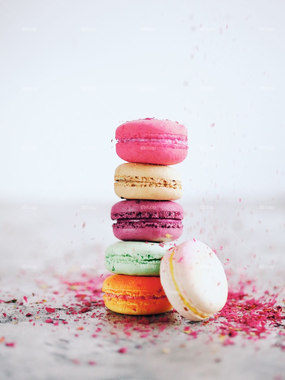 Macaroon 