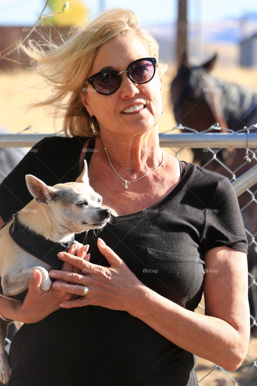 Beautiful middle age blonde woman in sunglasses holding her pet chihuahua with horses in the background in outdoor sunny conditions