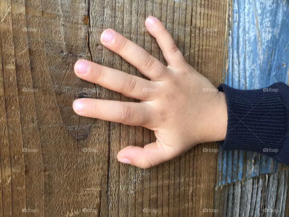 Hand