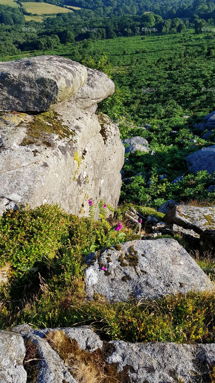 Dartmoor