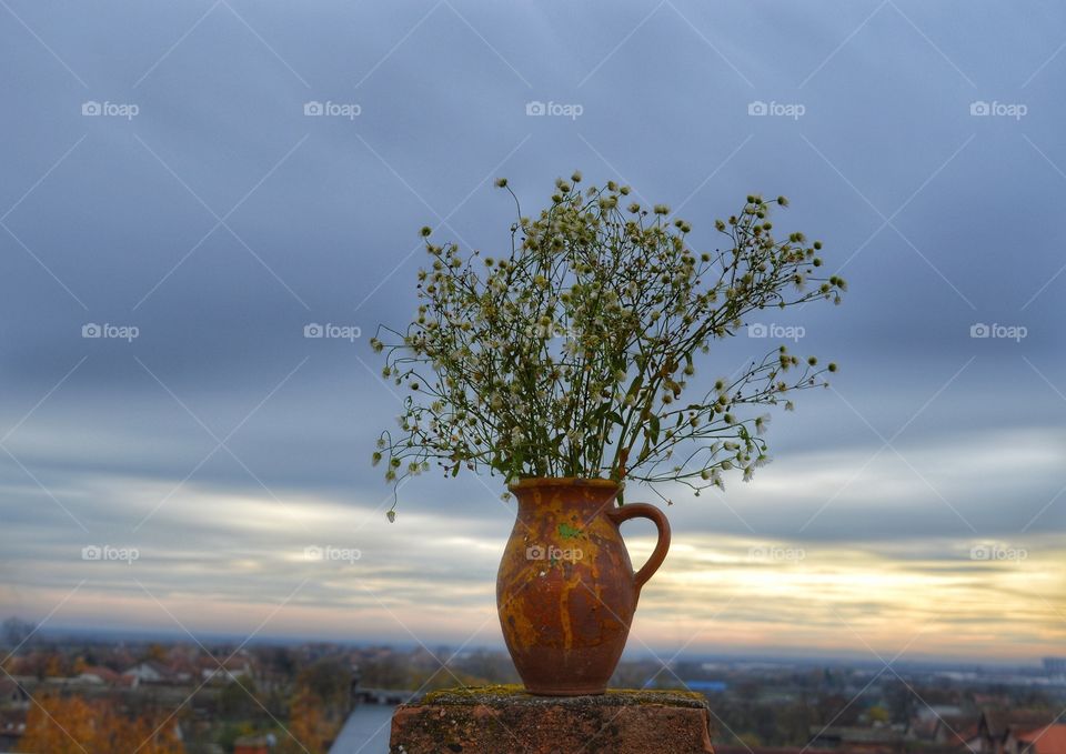 No Person, Nature, Sky, Tree, Outdoors