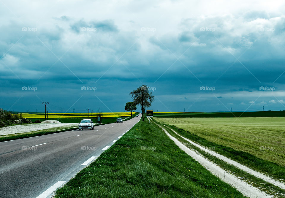 Road in Burgundy, France. Agriculture