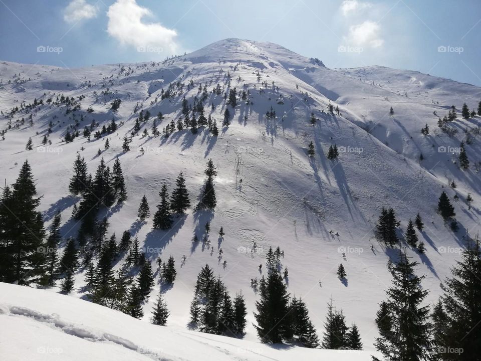 Winter at the mountains