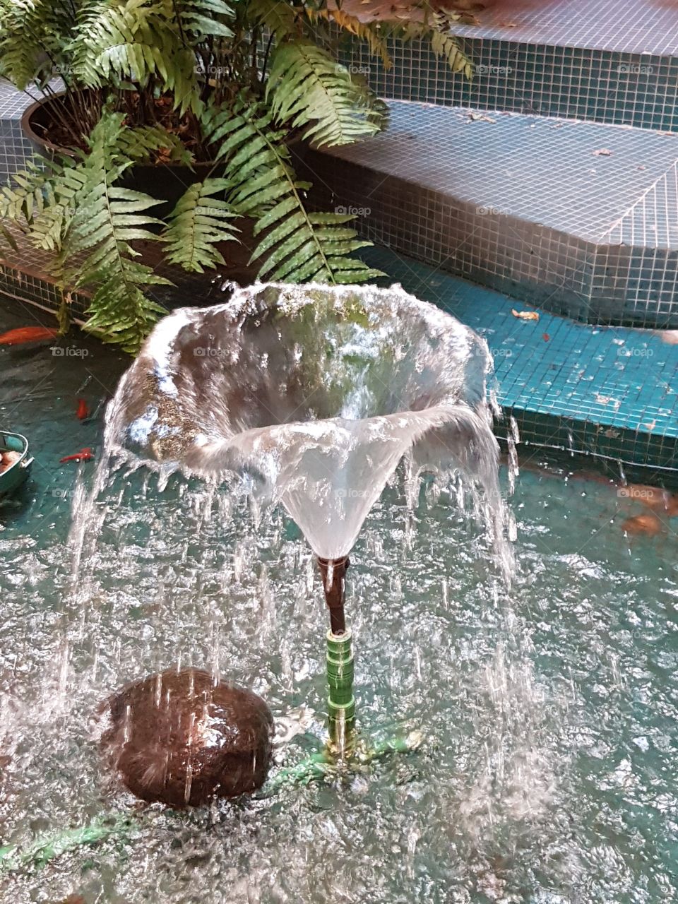 water creating a beautiful fall