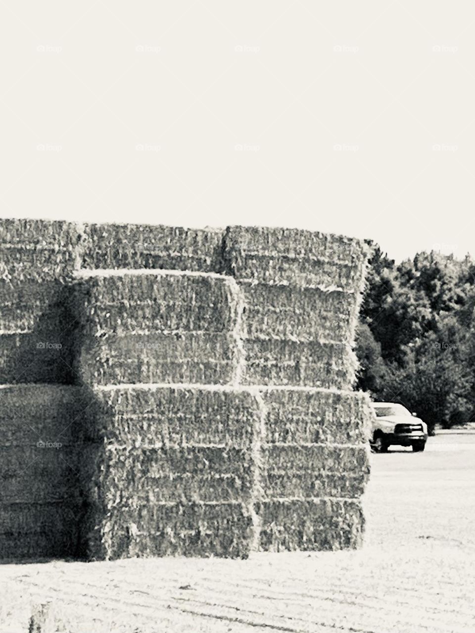 B&w haystack 3