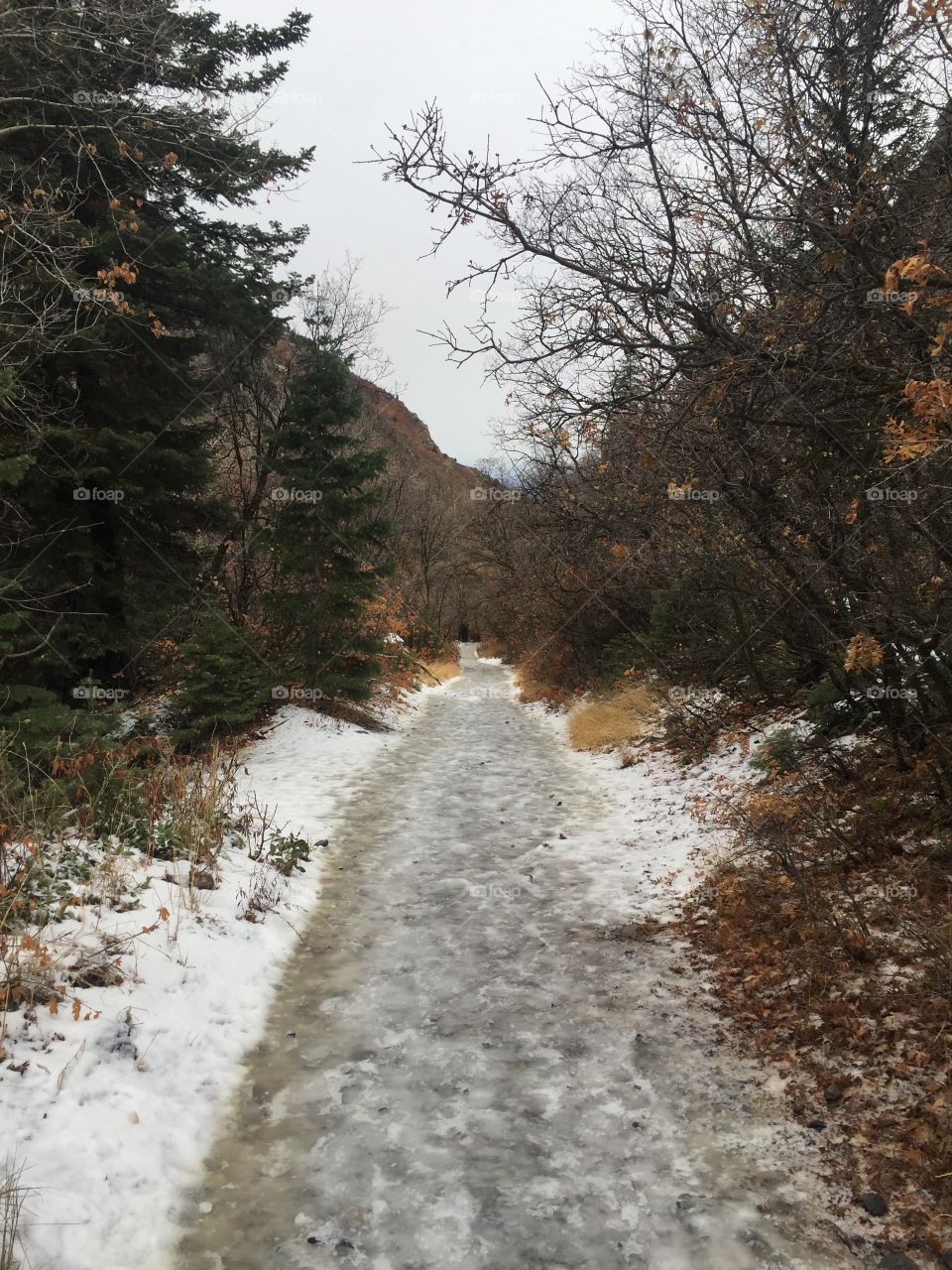 Frozen path 
