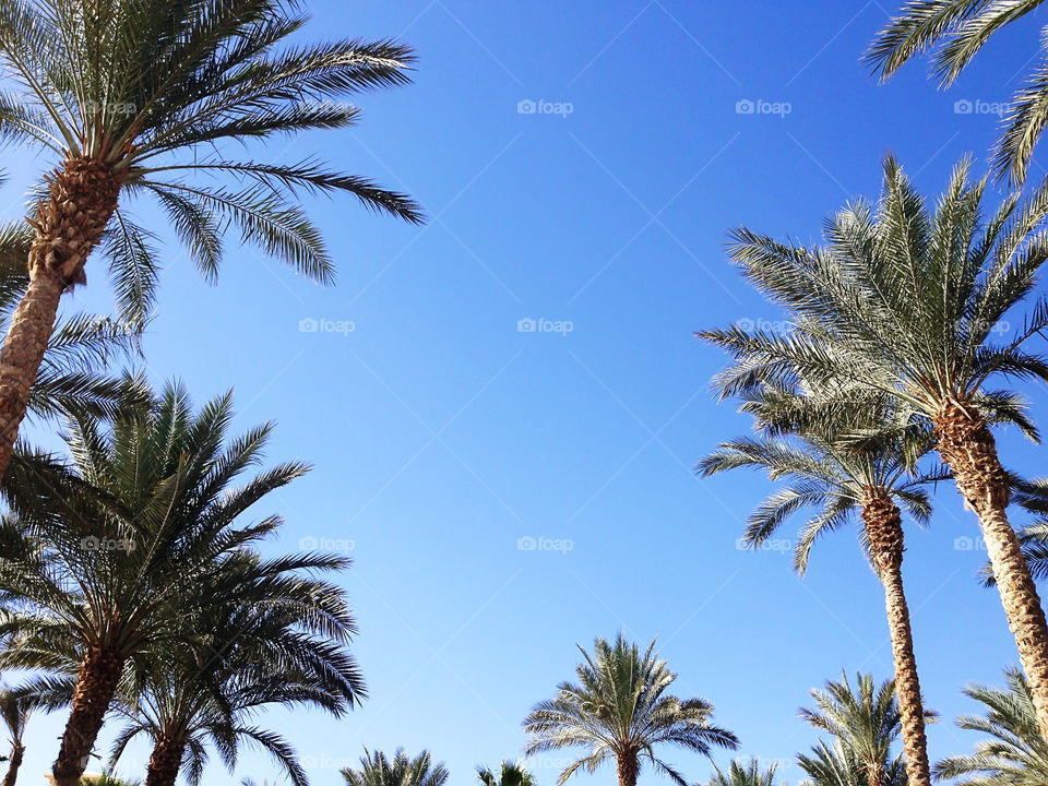 Enjoying the last summer days under the tropical palm trees 