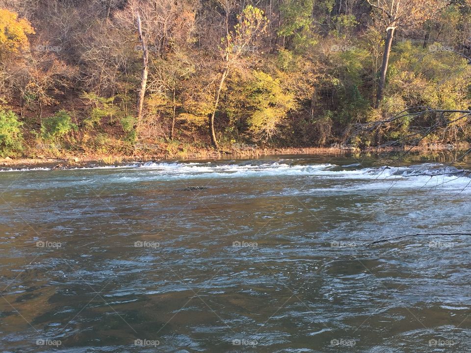 Spring River