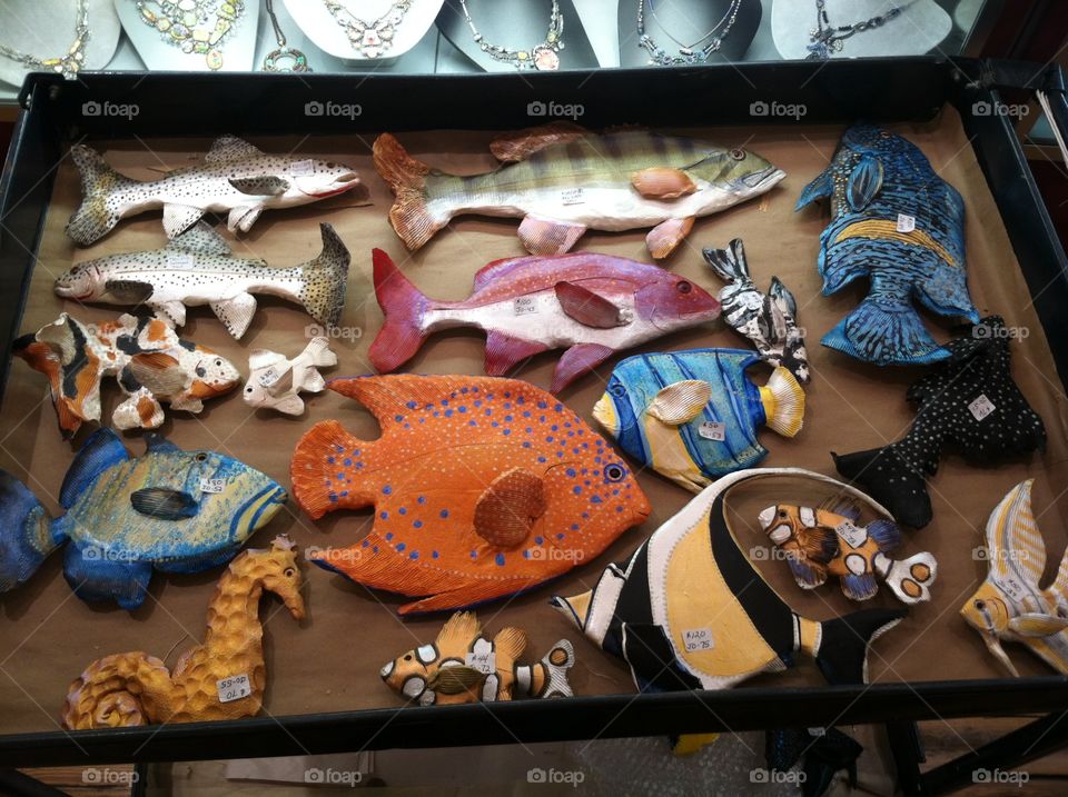Ceramic fish on display
