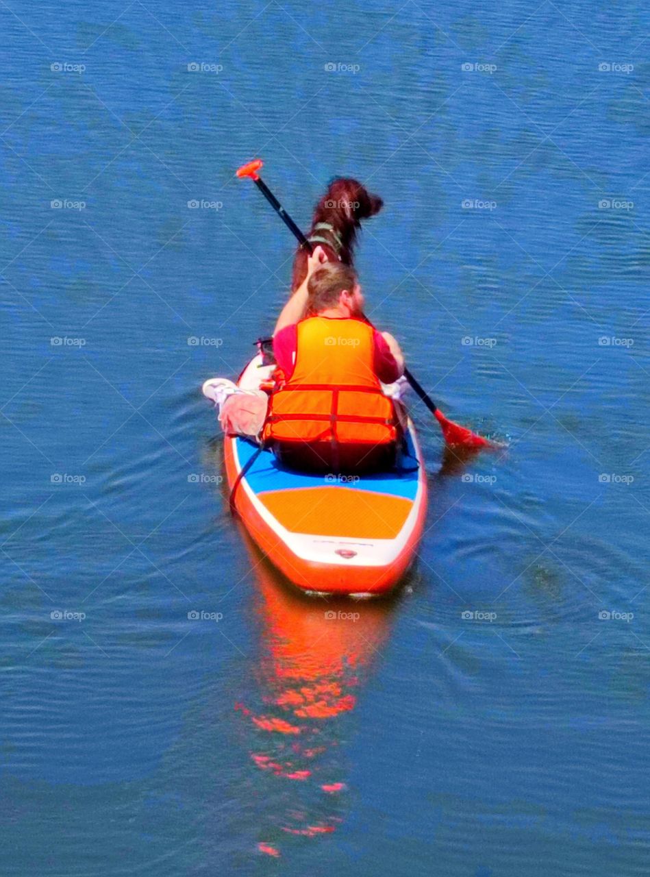 Summer.  Sport time. A sports boat floats on blue water, in which a man with an oar sits. There is a dog at the stern of the boat. Man and dog looking in the same diretime.A