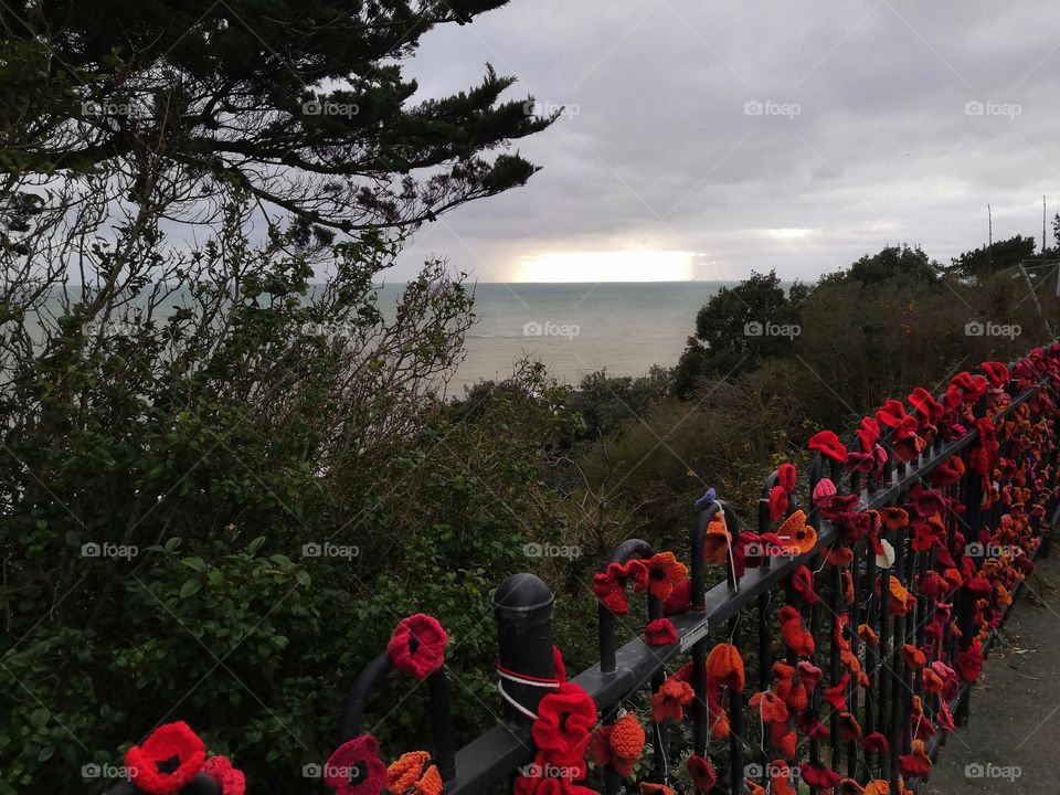 Sunset and sea plus rememberance poppies
