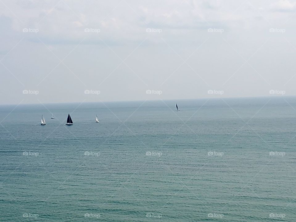 sailboats