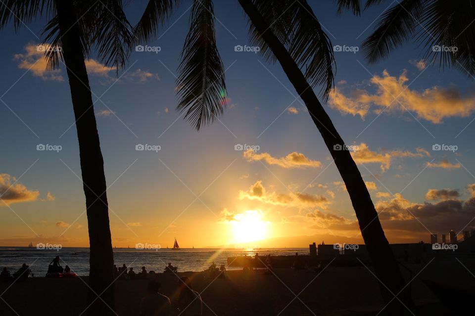 The Beautiful Sunset