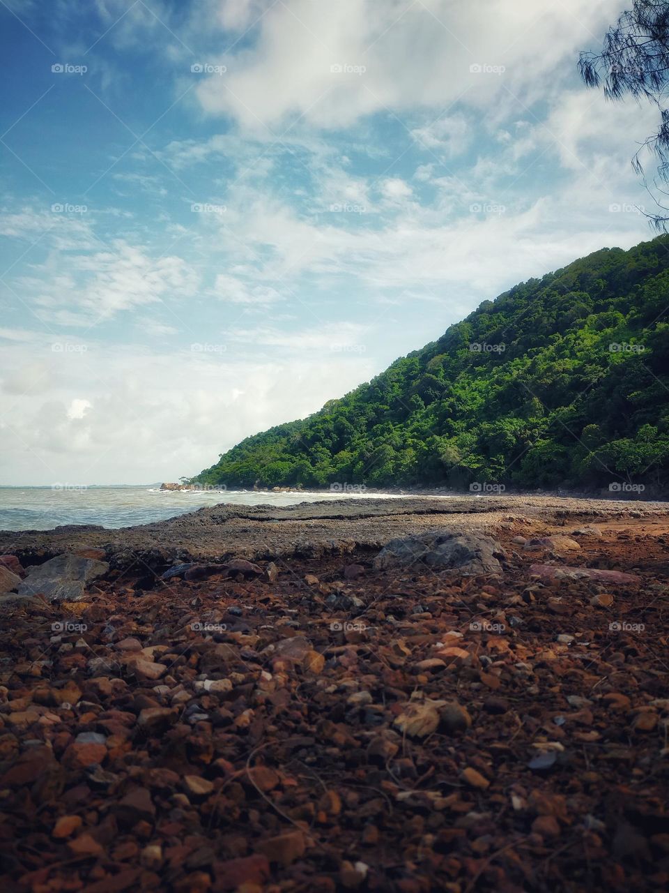 photography pictures of trees, mountains, cloves, rocks, sky, sea, sea