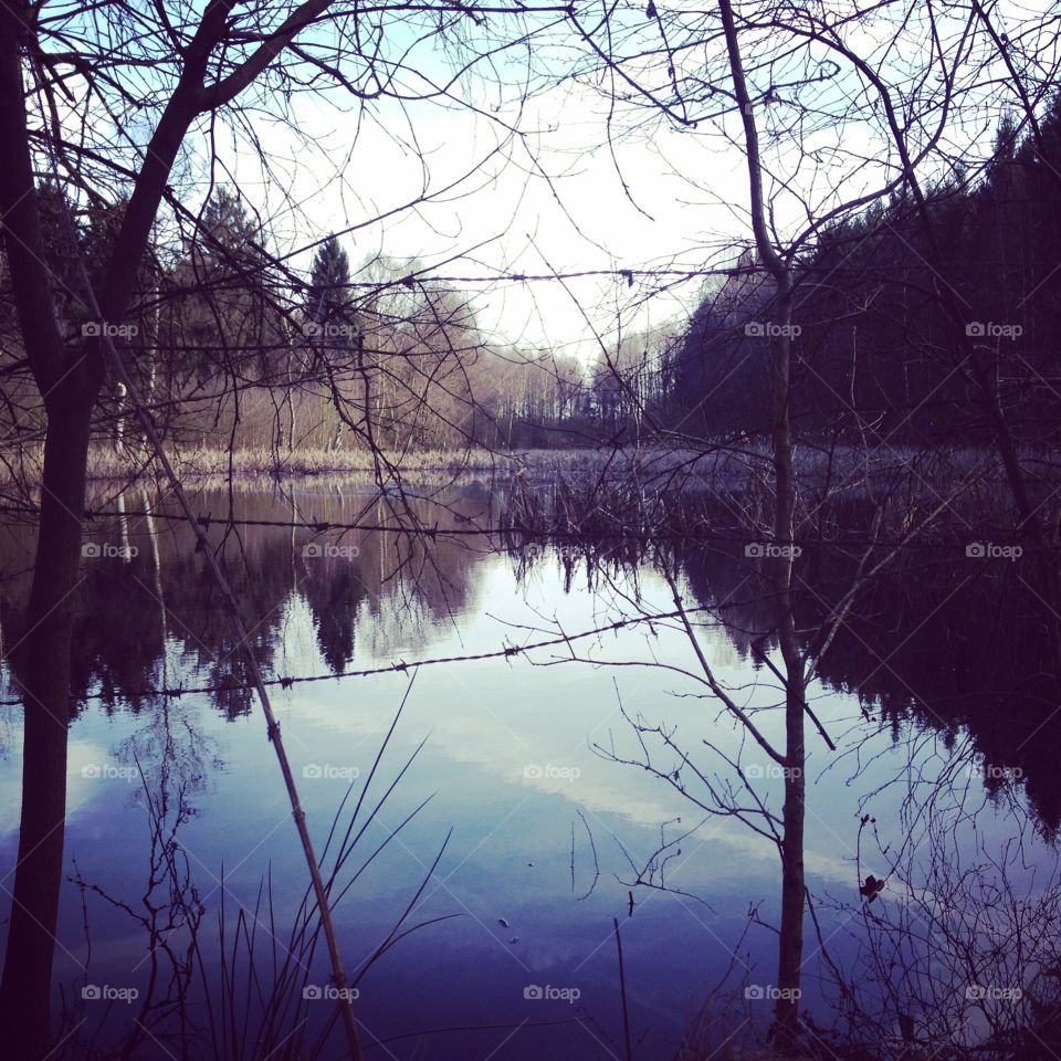 A lake behind wire. This is the lake my tree house looks over to