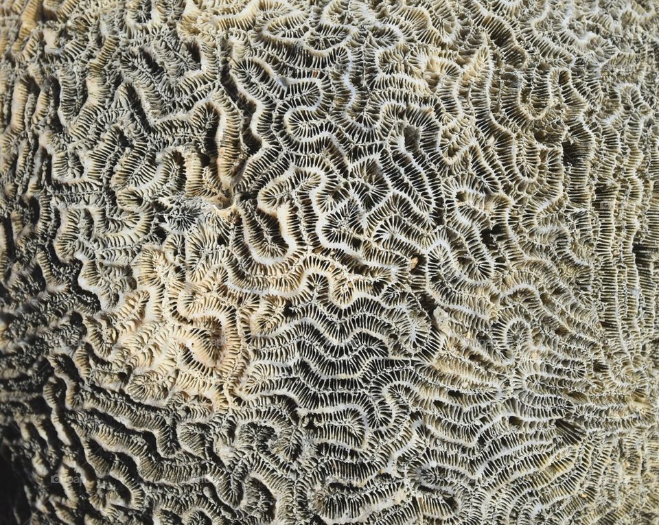 Texture feel 