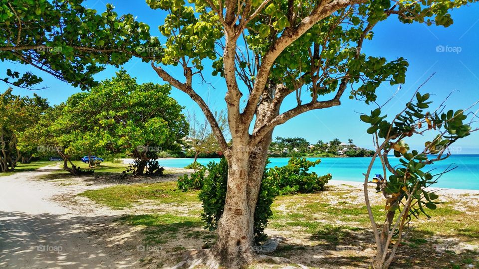 Scenic view of beach