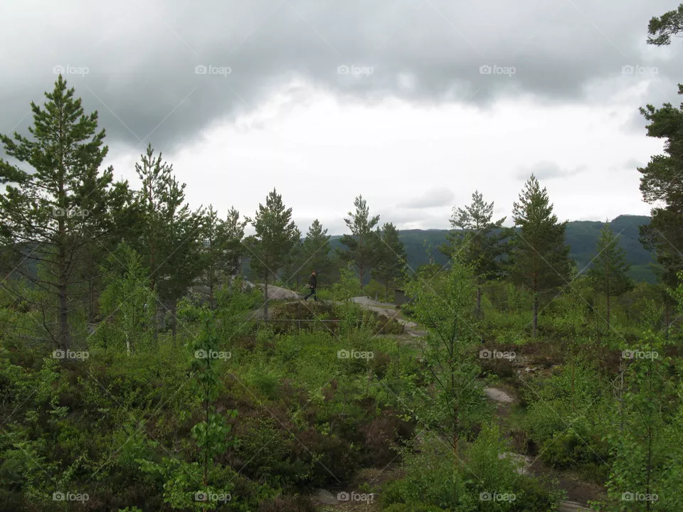 Nature