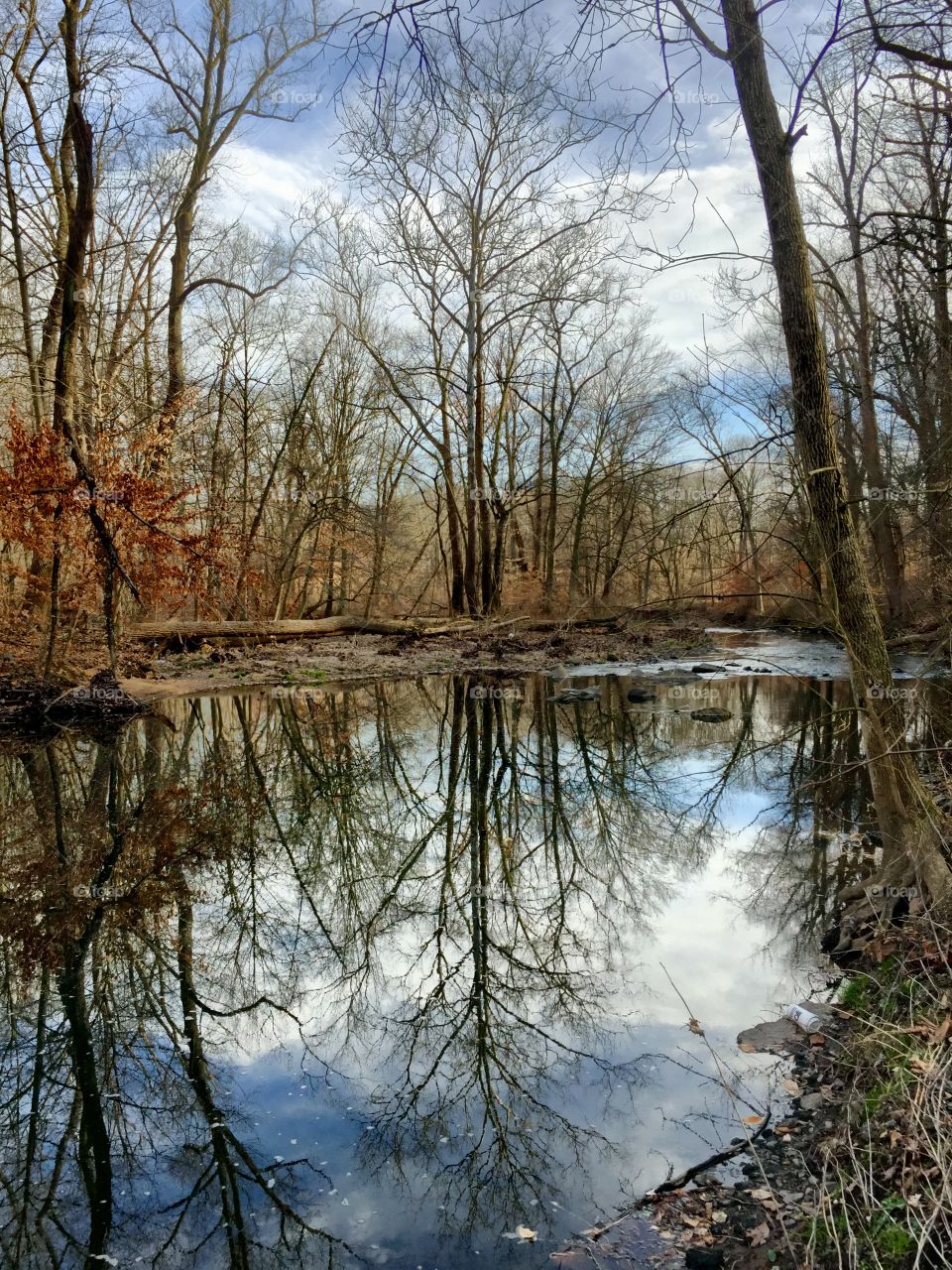 Winter reflections in the Pennypack Creek