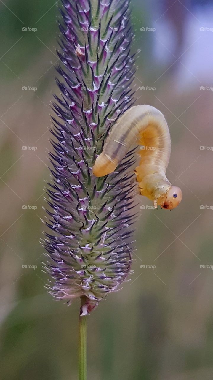 No photos, please...