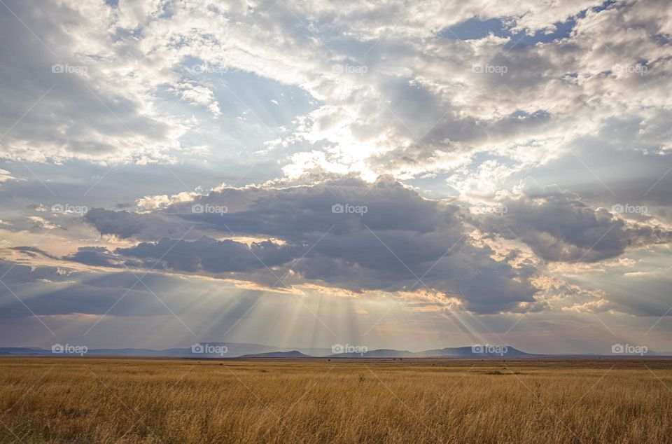 cloudy day at the countryside