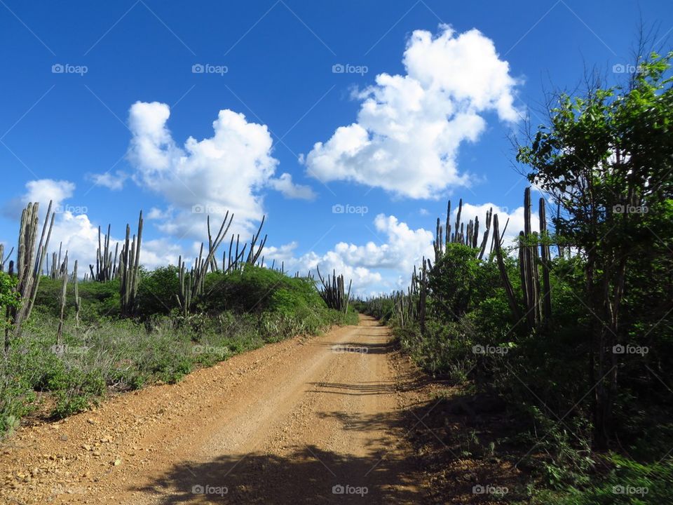 Road through dessert