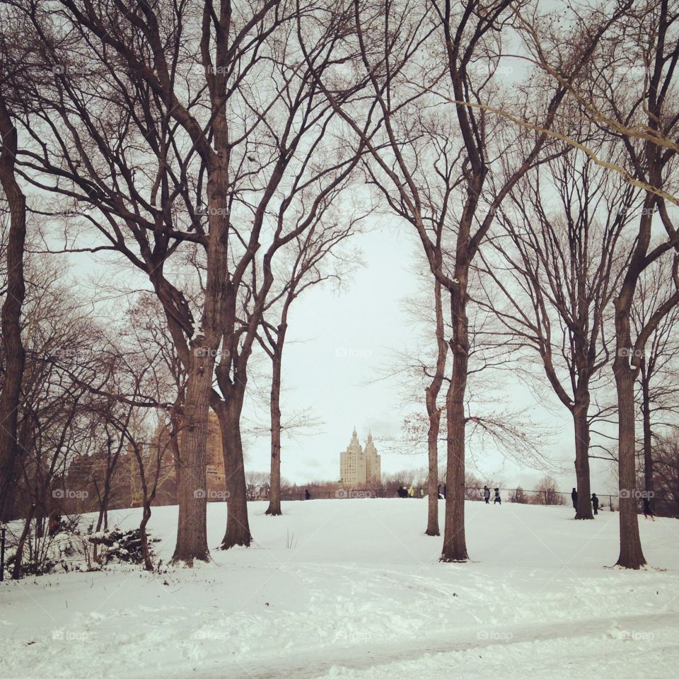 New York in the Winter