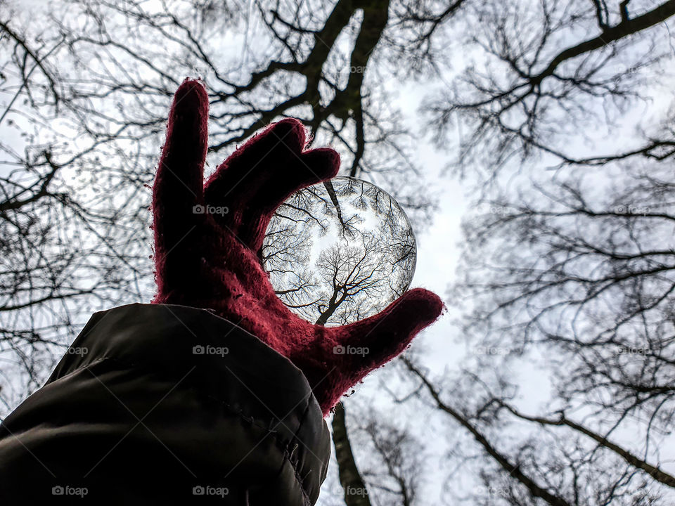 A portrait of a hand wearing a few glove holding a lens ball into the sky in a forest. the reflected image inside of the glass ball depicts the tree tops high in the sky.