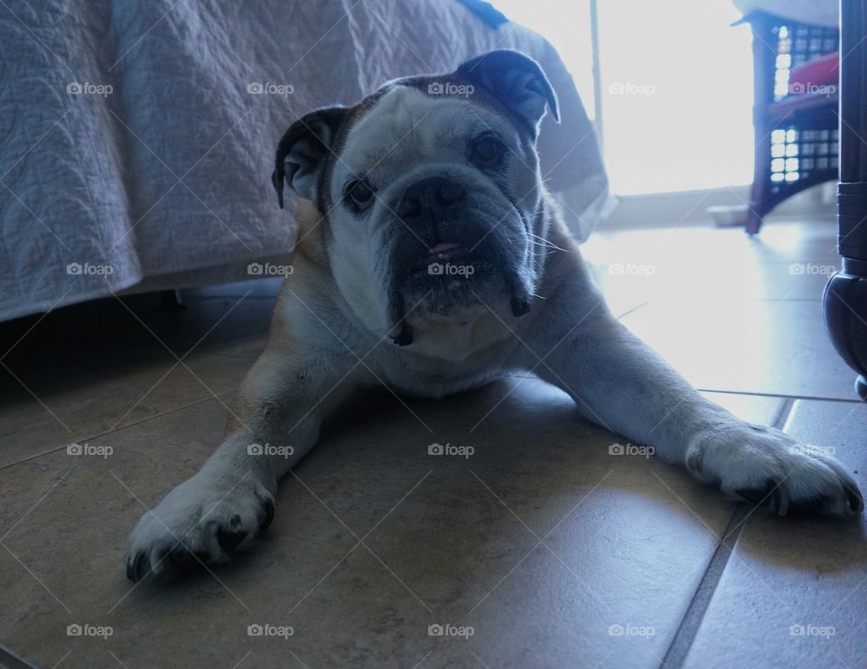 Chillin at the beach house