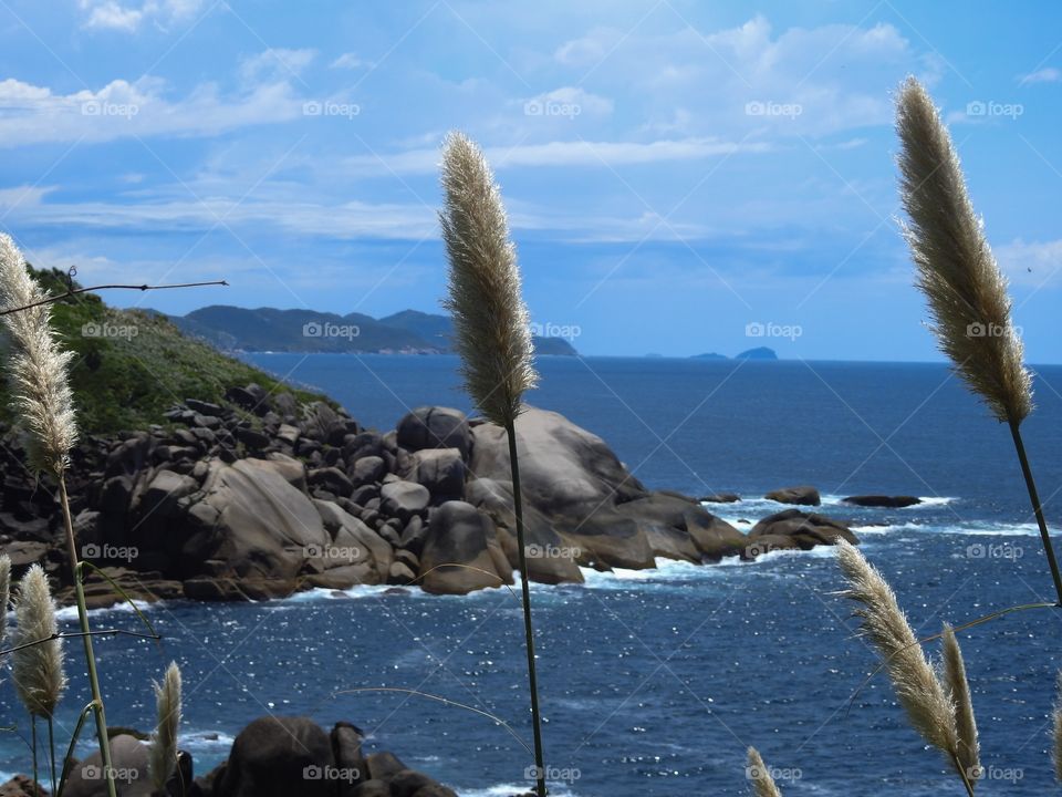 Rocks on the sea