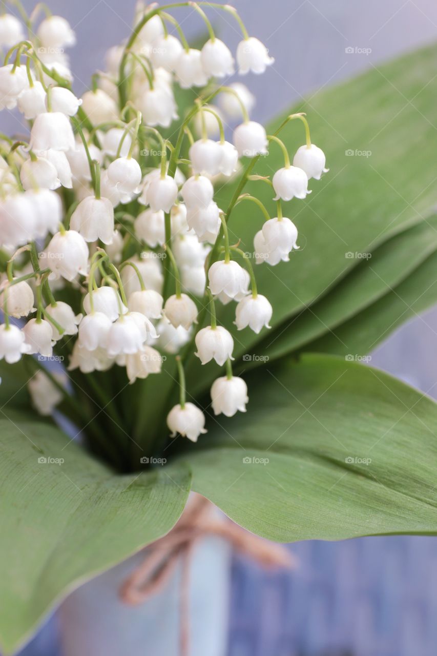 lilies of the valley in a turquoise vase