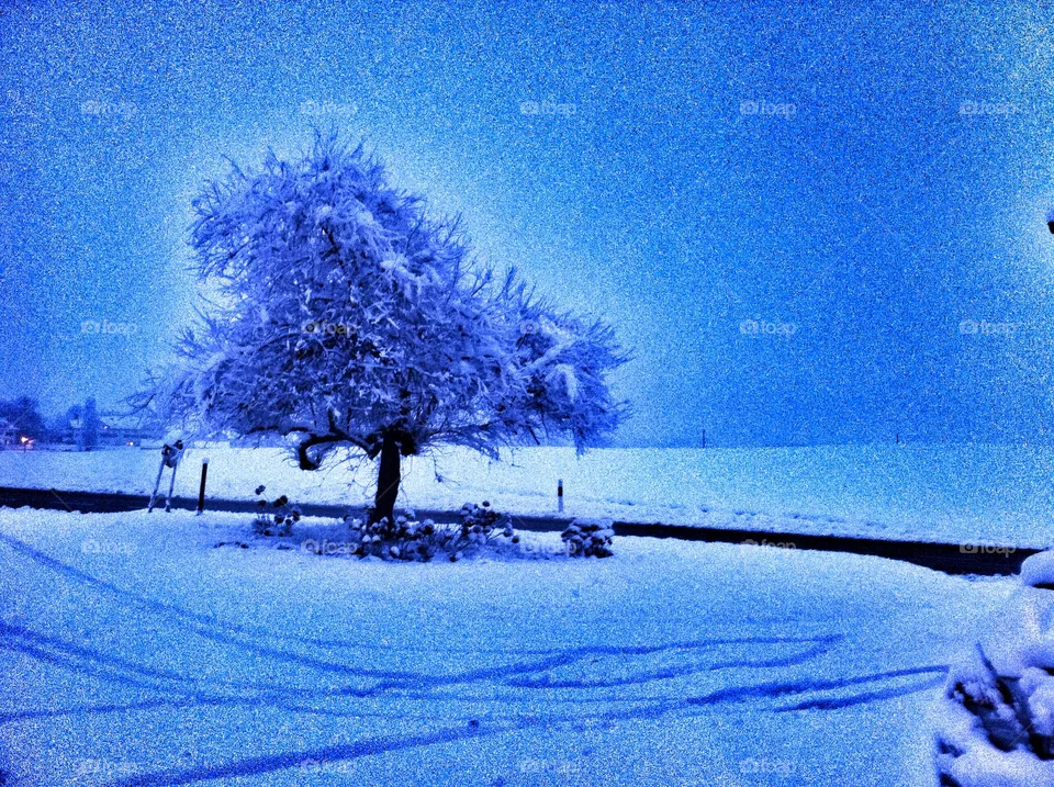 Snow
