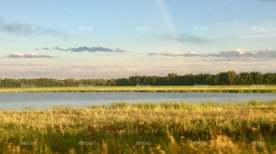 Rainbow over the pond 