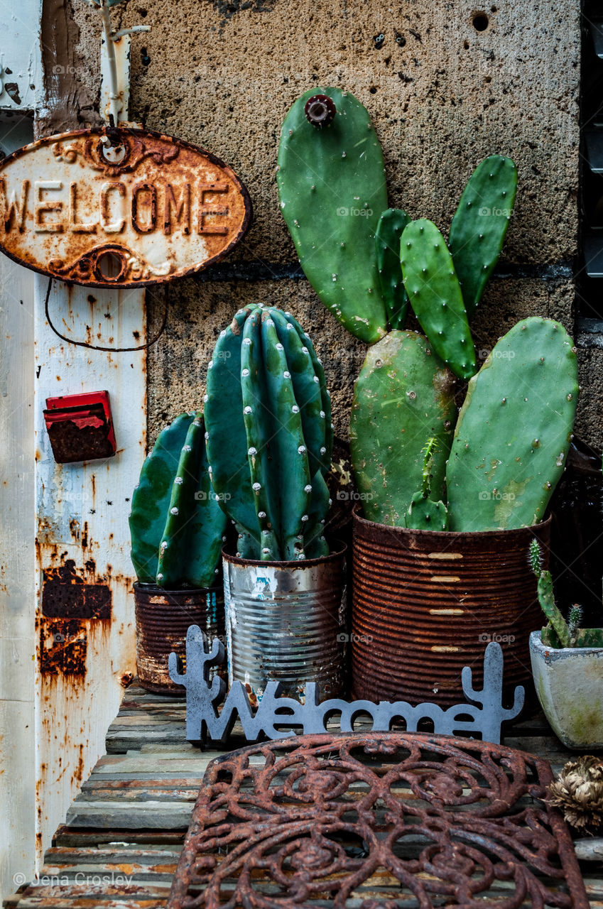 Vintage Cactus Welcome