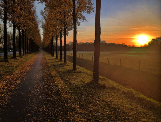 dawn