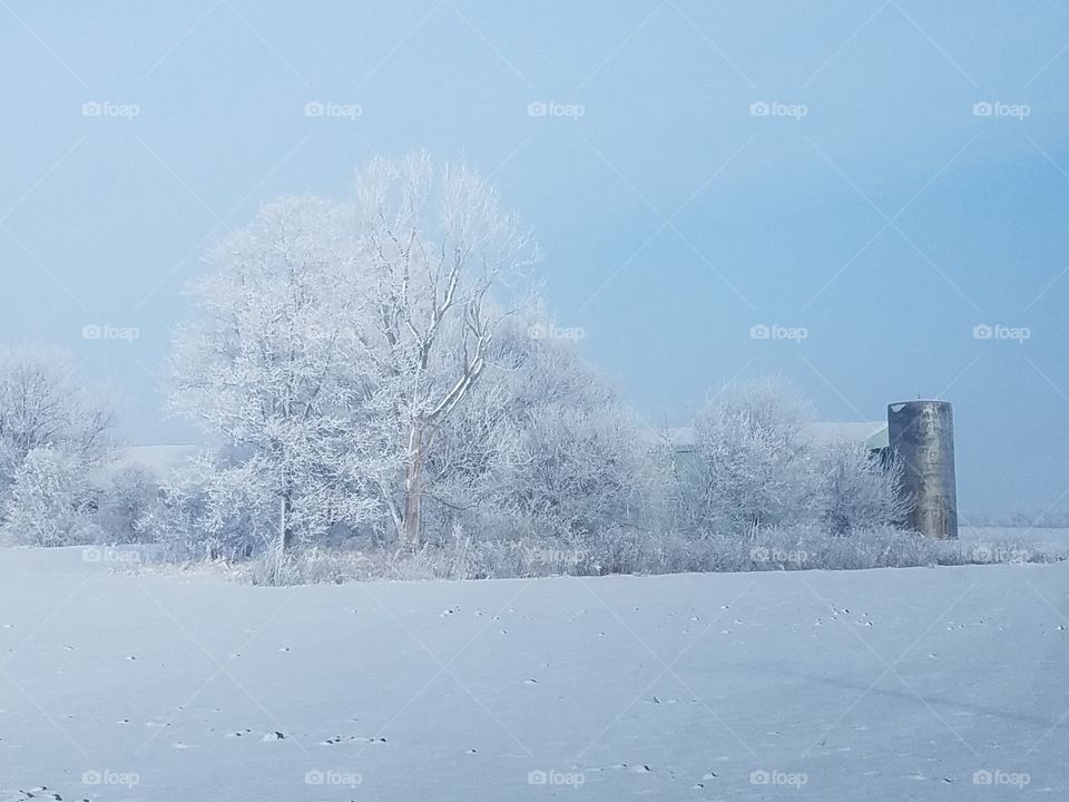 Frost Covered Farmscape
