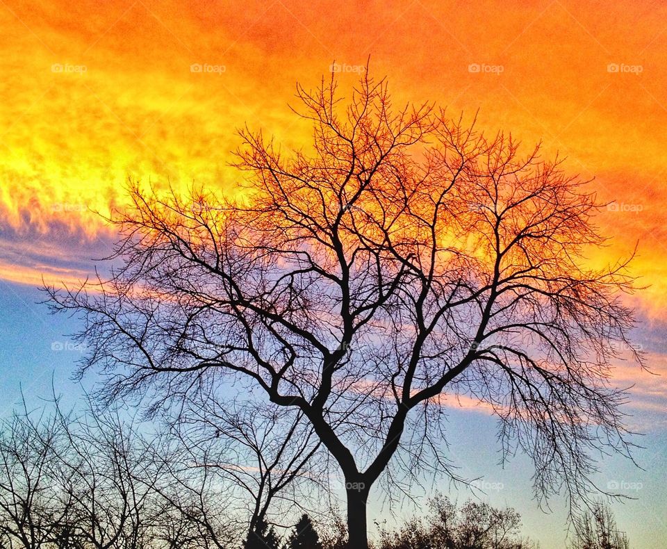 Morning sky
- captured almost four years ago... Ever since we adopted Balto, I've had many chances to enjoy the beautiful sunrises in the neighborhood... Except a few of the sub-zero Wisconsin winter mornings...