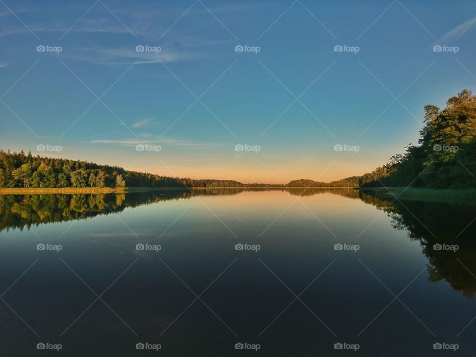 View of reflected forest on water