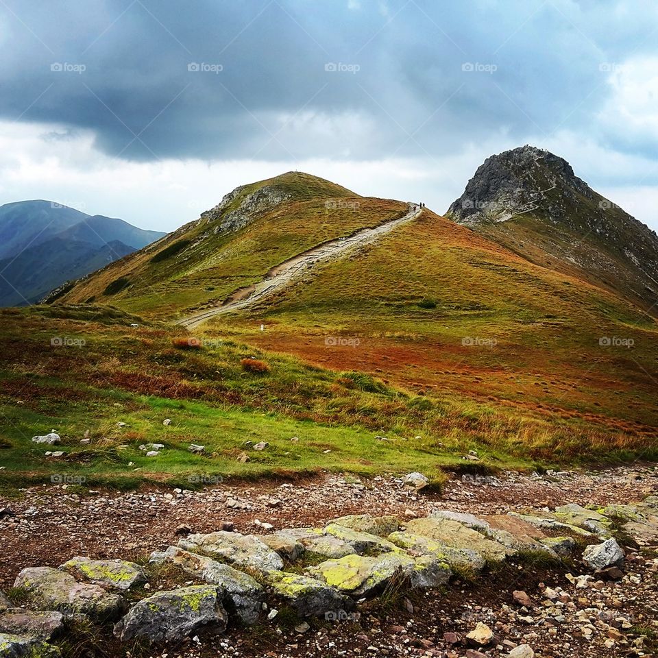 Trail to Swinica peak