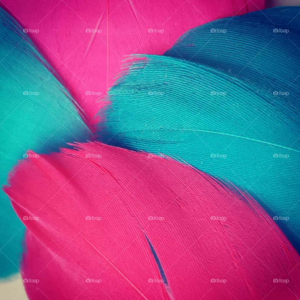 colors