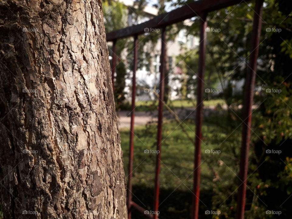 autumn is coming pt. 4