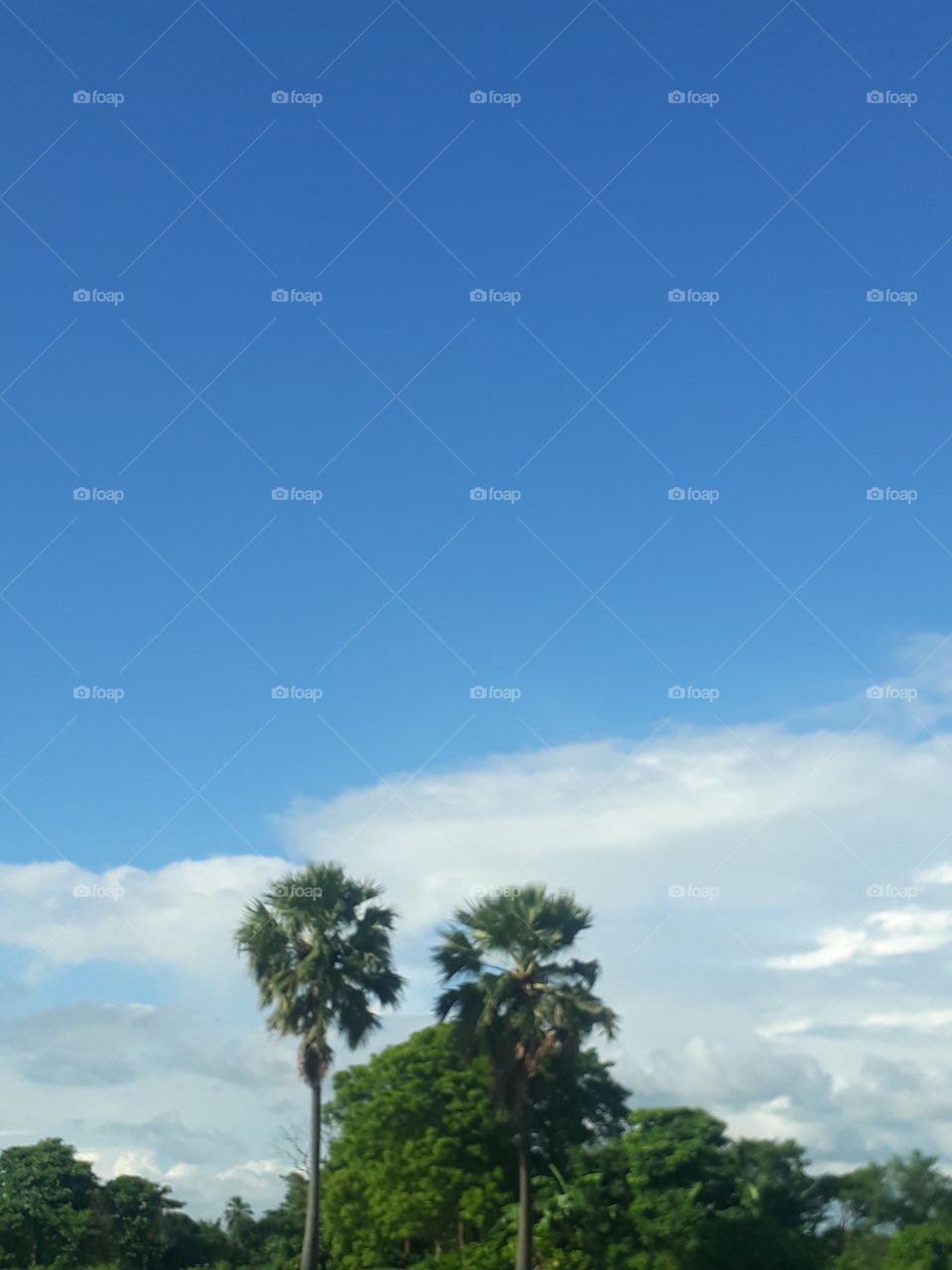 Beautiful cloud in the sky Indian village