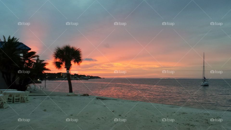 Morning Sunrise. Sunrise on Tampa Bay