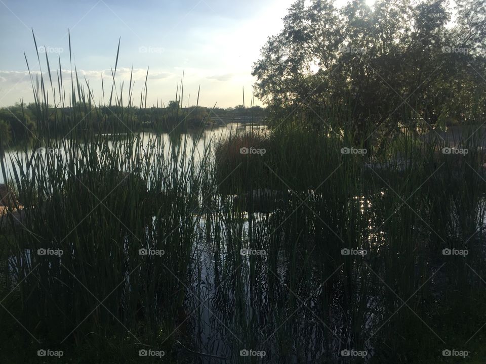 Reflection, Water, Landscape, Lake, Nature